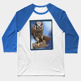 hawk Baseball T-Shirt